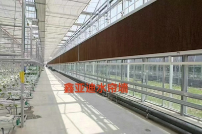 水帘墙 (7)